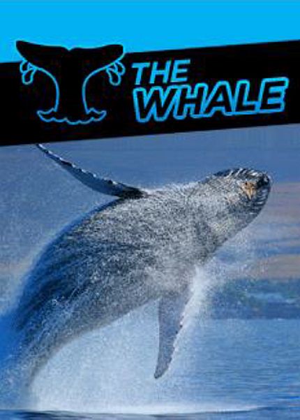 888poker Super Whale