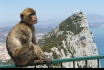 Visit Gibraltar - Home of PokerStrategy.com